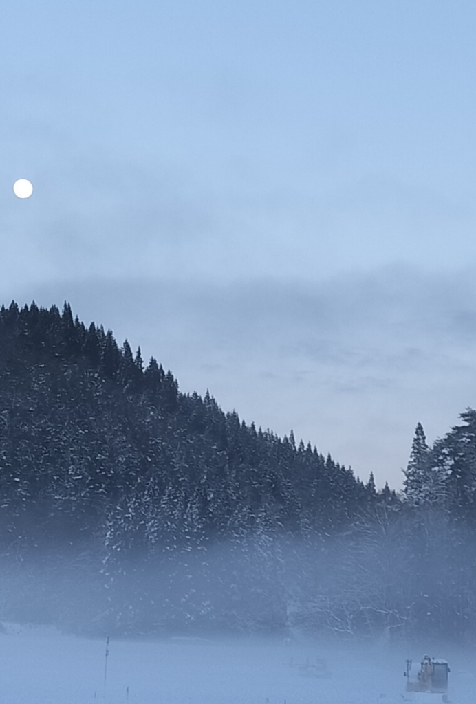 <font dir="auto" style="vertical-align: inherit;"><font dir="auto" style="vertical-align: inherit;">家</font></font> 名称未設定のデザイン (2)